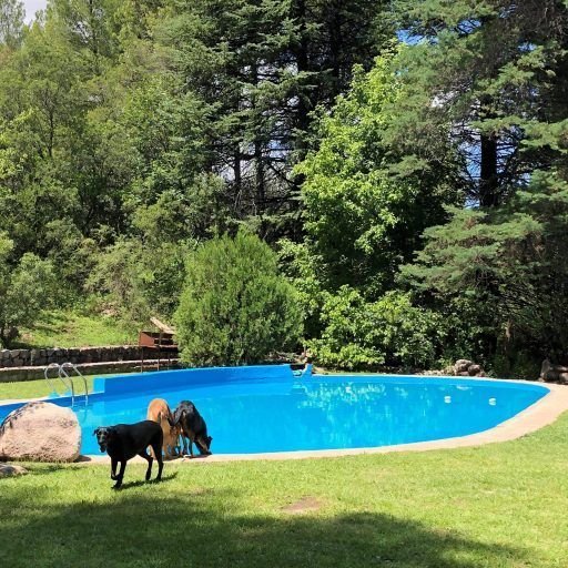 Piscina Compartida